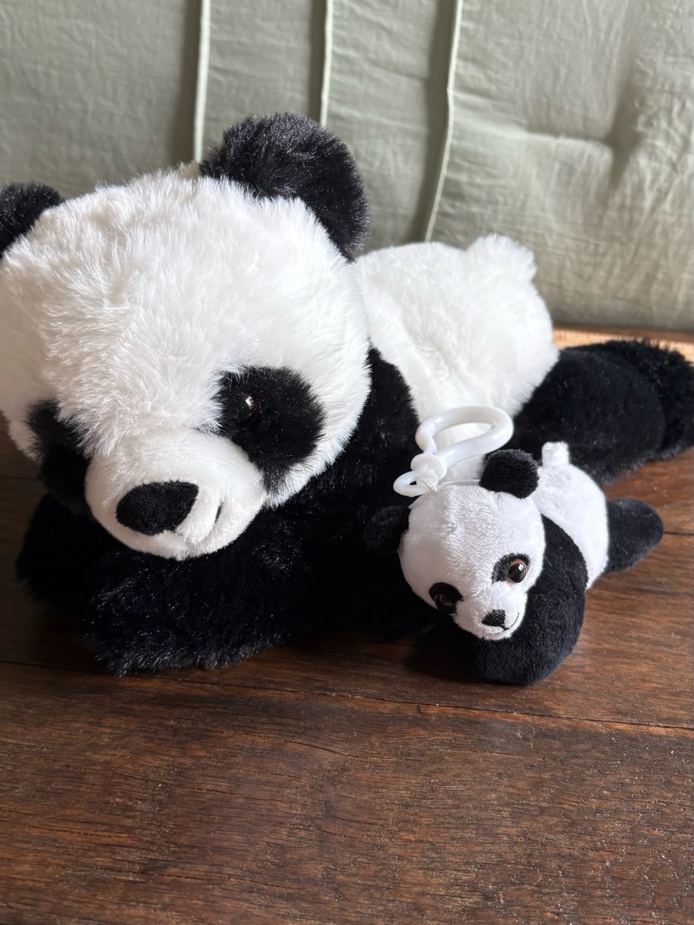 Panda Plush (2) Girl Scout theme 2025